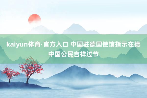 kaiyun体育·官方入口 中国驻德国使馆指示在德中国公民吉祥过节