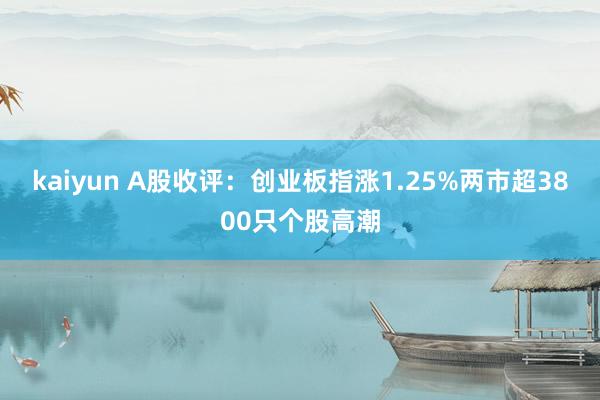 kaiyun A股收评：创业板指涨1.25%两市超3800只个股高潮