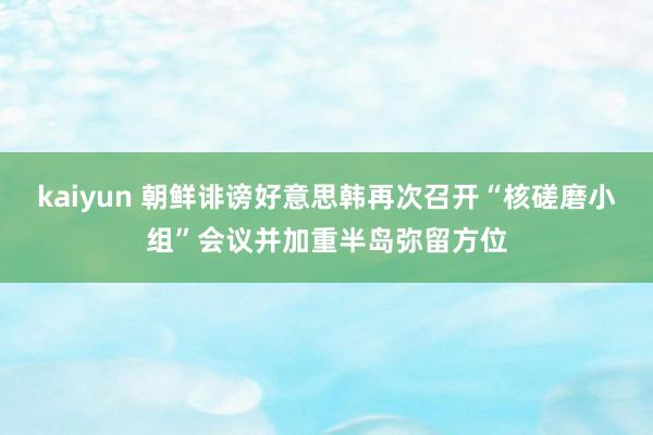 kaiyun 朝鲜诽谤好意思韩再次召开“核磋磨小组”会议并加重半岛弥留方位