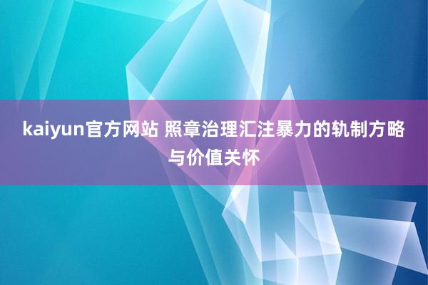 kaiyun官方网站 照章治理汇注暴力的轨制方略与价值关怀