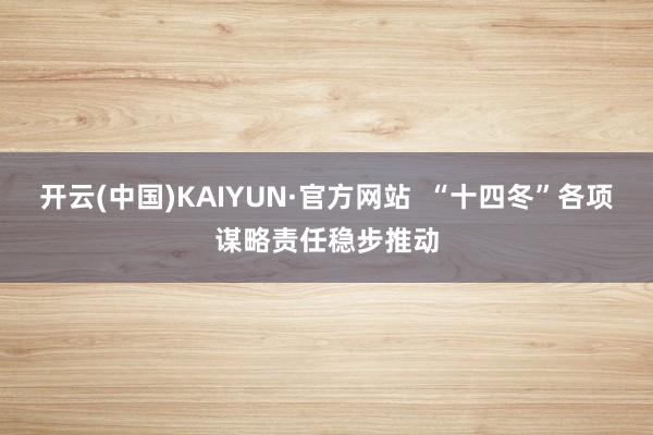 开云(中国)KAIYUN·官方网站  “十四冬”各项谋略责任稳步推动