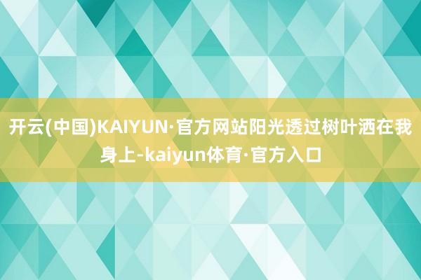 开云(中国)KAIYUN·官方网站阳光透过树叶洒在我身上-kaiyun体育·官方入口