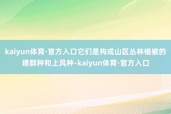 kaiyun体育·官方入口它们是构成山区丛林植被的建群种和上风种-kaiyun体育·官方入口