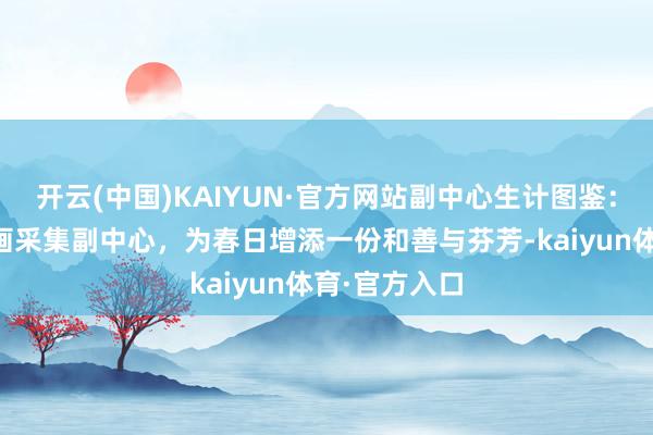 开云(中国)KAIYUN·官方网站副中心生计图鉴：女艺术家以画采集副中心，为春日增添一份和善与芬芳-kaiyun体育·官方入口