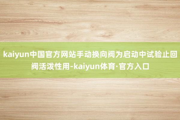 kaiyun中国官方网站手动换向阀为启动中试验止回阀活泼性用-kaiyun体育·官方入口