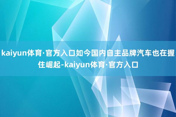 kaiyun体育·官方入口如今国内自主品牌汽车也在握住崛起-kaiyun体育·官方入口