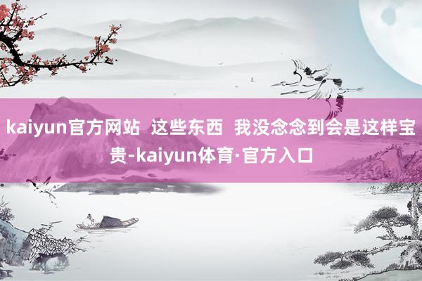 kaiyun官方网站  这些东西  我没念念到会是这样宝贵-kaiyun体育·官方入口