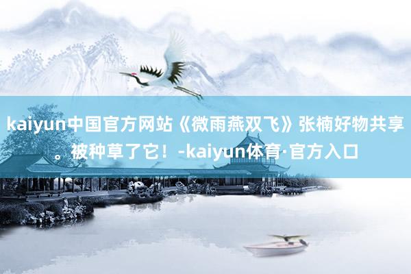 kaiyun中国官方网站《微雨燕双飞》张楠好物共享。被种草了它！-kaiyun体育·官方入口