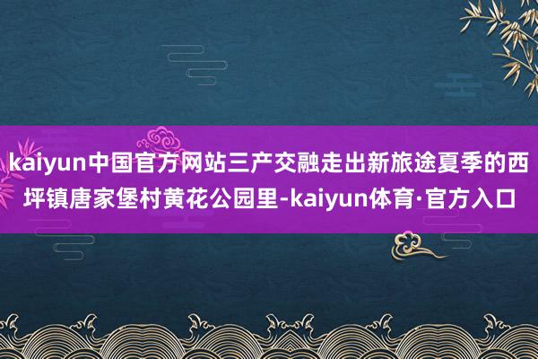 kaiyun中国官方网站三产交融走出新旅途夏季的西坪镇唐家堡村黄花公园里-kaiyun体育·官方入口