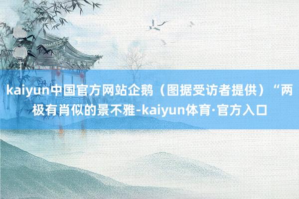 kaiyun中国官方网站企鹅（图据受访者提供）“两极有肖似的景不雅-kaiyun体育·官方入口