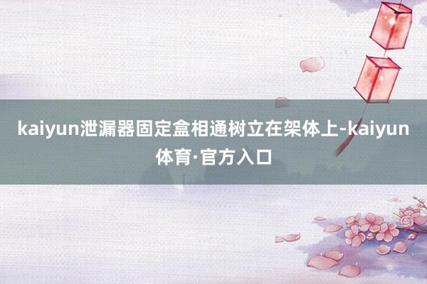 kaiyun泄漏器固定盒相通树立在架体上-kaiyun体育·官方入口