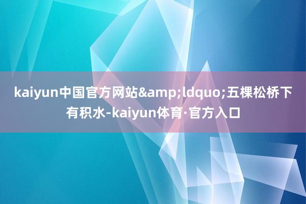 kaiyun中国官方网站&ldquo;五棵松桥下有积水-kaiyun体育·官方入口