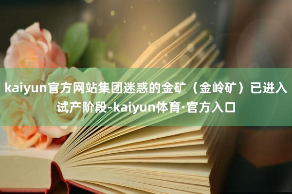 kaiyun官方网站集团迷惑的金矿（金岭矿）已进入试产阶段-kaiyun体育·官方入口