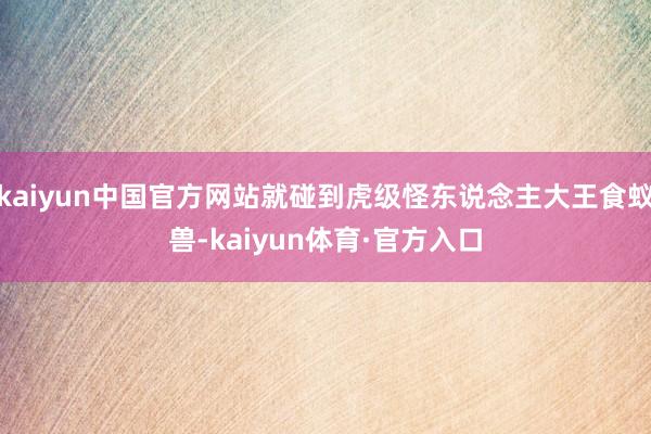 kaiyun中国官方网站就碰到虎级怪东说念主大王食蚁兽-kaiyun体育·官方入口