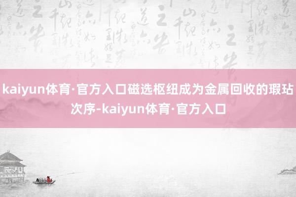 kaiyun体育·官方入口磁选枢纽成为金属回收的瑕玷次序-kaiyun体育·官方入口